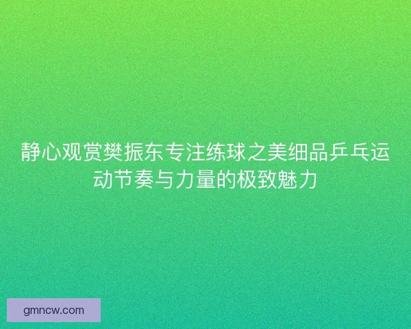 静心观赏樊振东专注练球之美细品乒乓运动节奏与力量的极致魅力