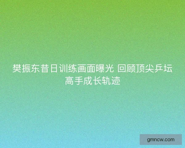 樊振东昔日训练画面曝光 回顾顶尖乒坛高手成长轨迹